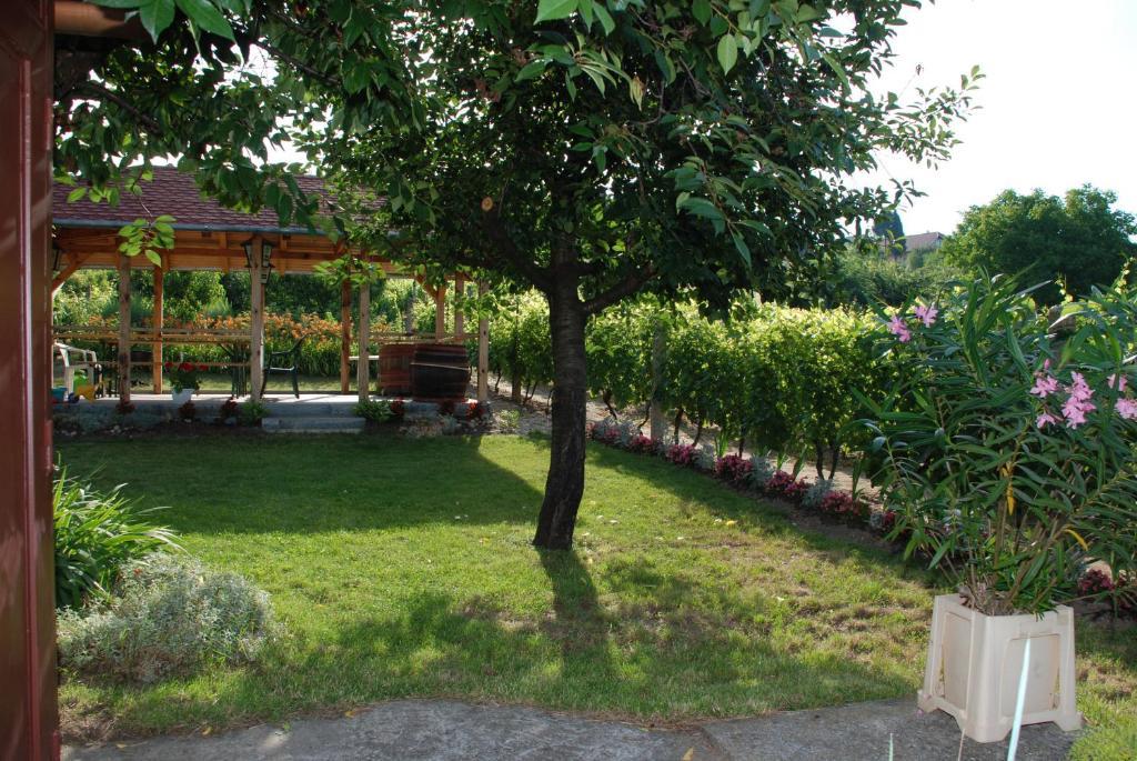 Panoráma Apartmanház Sárvár Kültér fotó
